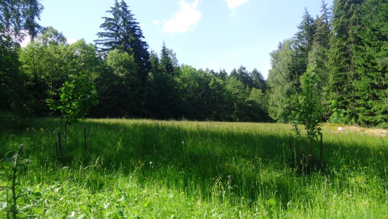 summer-2, © 1000Krauthof summer-2, © 1000Krauthof