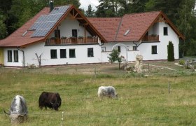Yak und Alpakahof, © Pollak Ein modernes Bauernhaus mit Solarpanelen auf dem Dach, umgeben von einer Wiese mit grasenden Yaks.