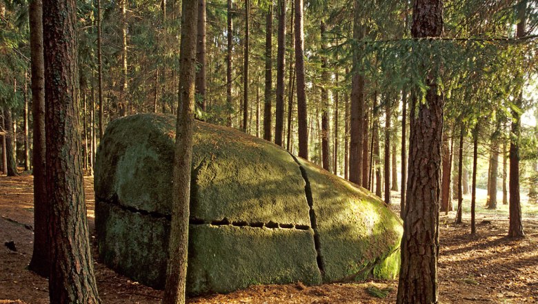Platz des Skorpions, © Reinhard Mandl Ein großer, moosbedeckter Felsen mit Rissen steht in einem dichten Wald aus hohen Bäumen.