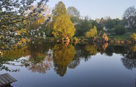 Kamp, © Martin Zekar Ein ruhiger See mit Bäumen und deren Spiegelung im Wasser, umgeben von blühenden Zweigen.