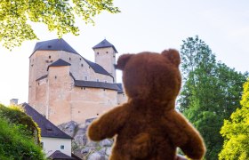 Teddybaerentrai Rappottenstein, © Martin Lugmayr, waldsoft Teddybaerentrai Rappottenstein, © Martin Lugmayr, waldsoft