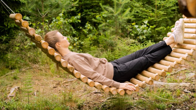 Wald-Reich, © SONNENTOR Wald-Reich, © SONNENTOR