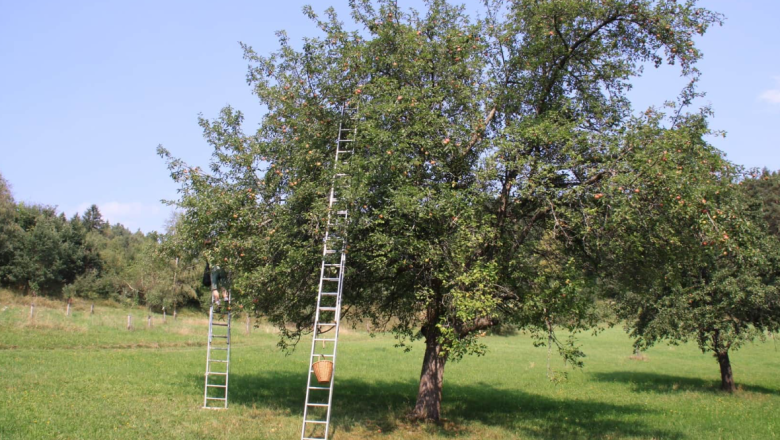 Ab Hof Verkauf Familie Ertl, © Familie Ertl Ab Hof Verkauf Familie Ertl, © Familie Ertl