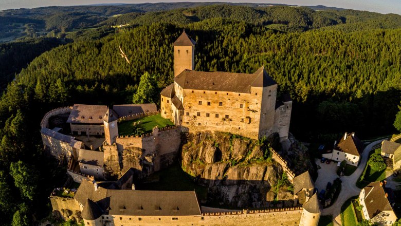 Rappottenstein Castle, © Niederösterreich Werbung, Christian Majcen Aerial view of Rappottenstein Castle surrounded by forest.