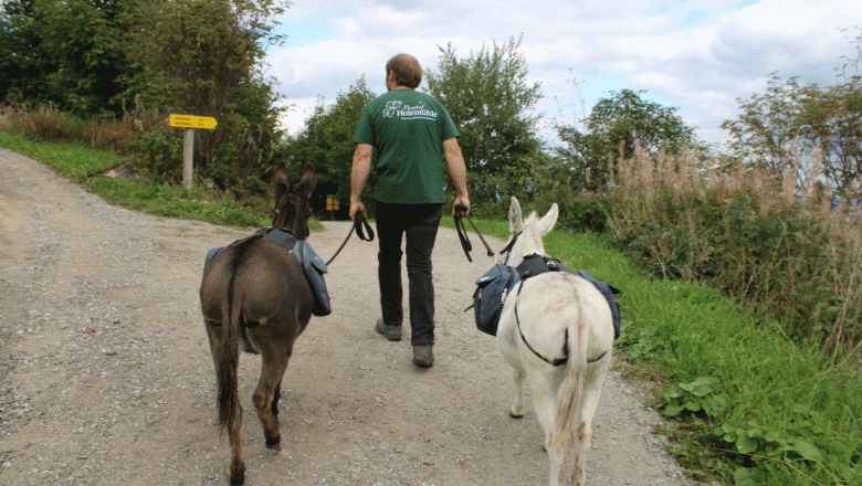 Gasthaus & Ponyhof Holzmühle, © Birgit Taxböck Gasthaus & Ponyhof Holzmühle, © Birgit Taxböck