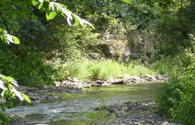 Mühlenweg, © Waldviertel Tourismus Mühlenweg, © Waldviertel Tourismus