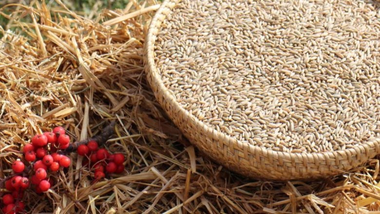 Johann Eigner 2, © Johann Eigner Johann Eigner 2, © Johann Eigner