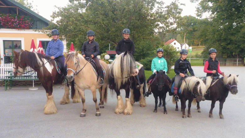 Gasthaus & Ponyhof Holzmühle, © Birgit Taxböck Gasthaus & Ponyhof Holzmühle, © Birgit Taxböck