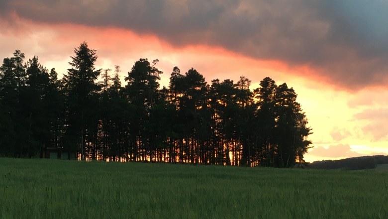 Sonnenuntergang mit Wald, © Peter Brezina Sonnenuntergang mit Wald, © Peter Brezina