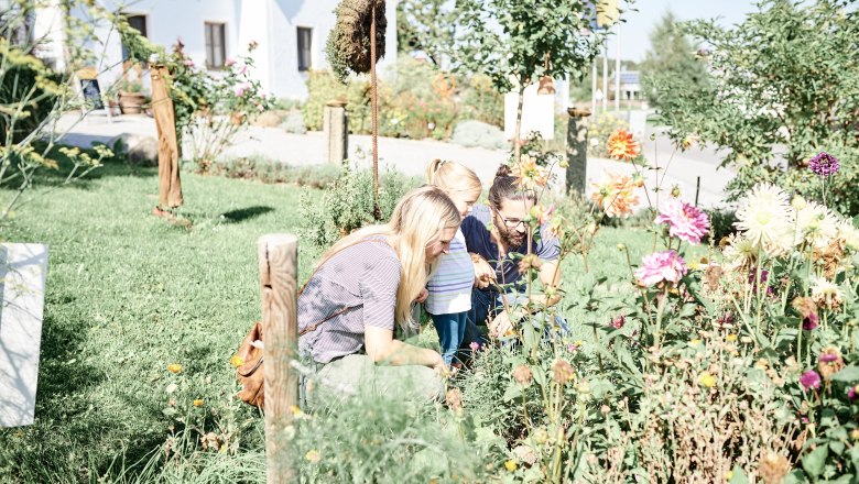 Familienausflug, © ©SONNENTOR/@nudlholz.at Familie betrachtet Blumen im Garten.