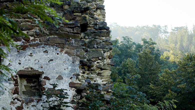 schonbergtourismus_wald_2020-08-22_img_0695_rupertpessl_web, © Rupert Pessl schonbergtourismus_wald_2020-08-22_img_0695_rupertpessl_web, © Rupert Pessl