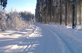 Langlaufen in Ottenschlag © Gemeinde Ottenschlag, © Waldviertel Tourismus Langlaufen in Ottenschlag © Gemeinde Ottenschlag, © Waldviertel Tourismus
