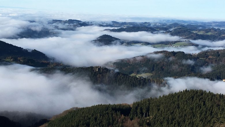 Aussichtsberg Burgsteinmauer, © Leo Baumberger Blick von der Burgsteinmauer auf nebelverhangene Hügel und Wälder.