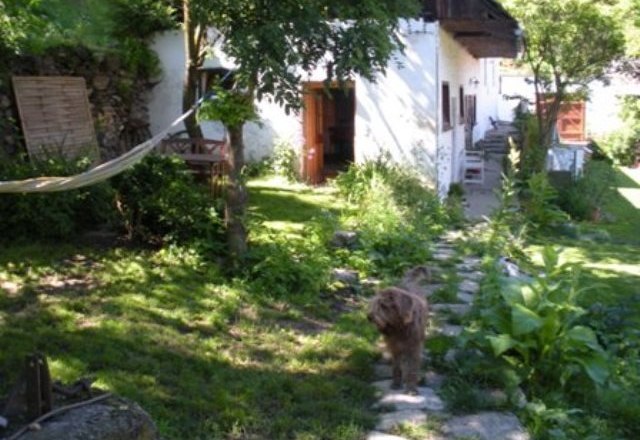 Pferdehof Kranzer, © Maria Kranzer Ein Garten mit einem Hund auf einem Steinweg vor einem weißen Haus.