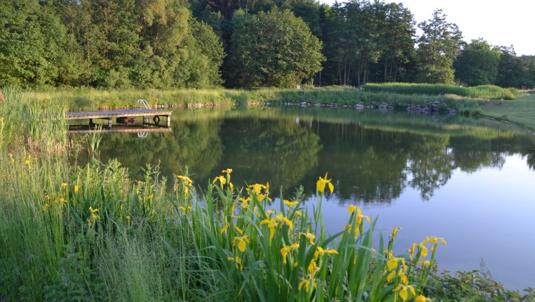 Bathing pond, © privat Bathing pond, © privat