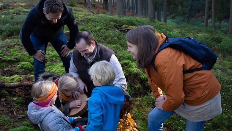 Jahrringe zählen, © Wunderwelt Wald, Fotograf Andreas Maringer Jahrringe zählen, © Wunderwelt Wald, Fotograf Andreas Maringer