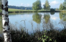 Albrechtserteich, © Othmar Nowak Albrechtserteich, © Othmar Nowak