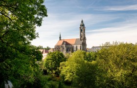 Stift Zwettl, © Stift Zwettl, Studio Kerschbaum Kirche inmitten von Bäumen und blauem Himmel.