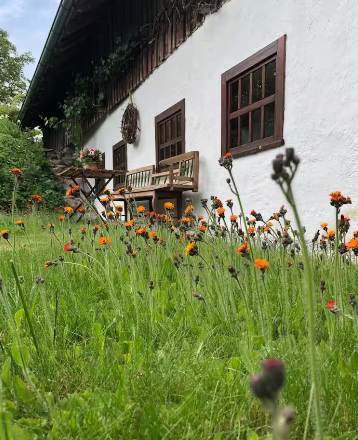 Cottage am Gföhlerwald, © Elisabeth Veen Cottage am Gföhlerwald, © Elisabeth Veen