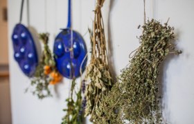 Deko, © Olga Berdikyan Deko, © Olga Berdikyan