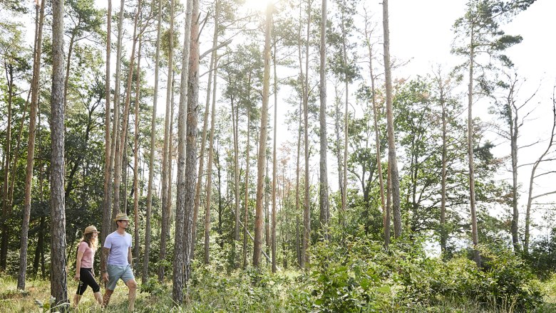 schonbergtourismus-wandernt1_img_1711_crupertpessl_web_1, © Rupert Pessl schonbergtourismus-wandernt1_img_1711_crupertpessl_web_1, © Rupert Pessl