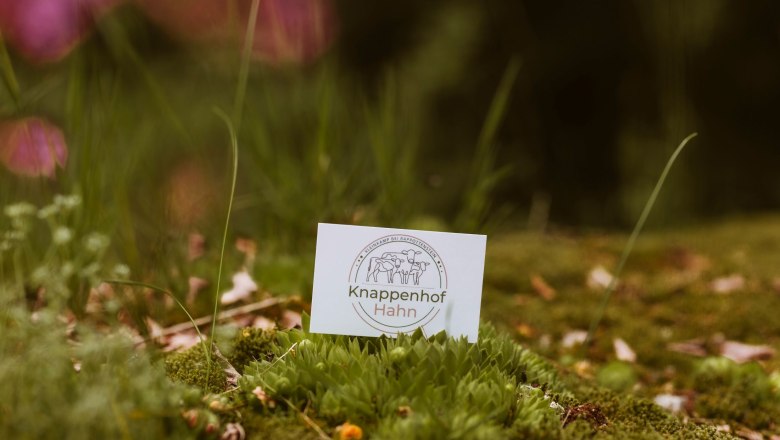 Knappenhof, © Katja Koppensteiner Fotografie Eine Visitenkarte des Knappenhof Hahn liegt auf Moos im Freien.