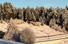 Waldviertler Winter, © Melissa Frühwirth Waldviertler Winter, © Melissa Frühwirth