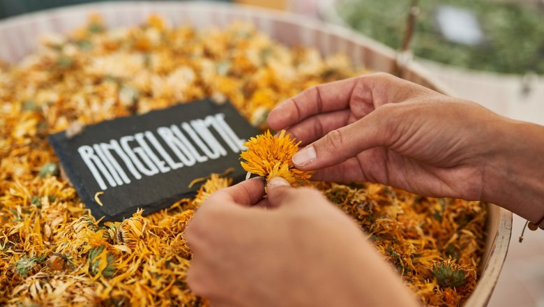 Betriebsführung, © SONNENTOR / @nudlholz.at Betriebsführung, © SONNENTOR / @nudlholz.at