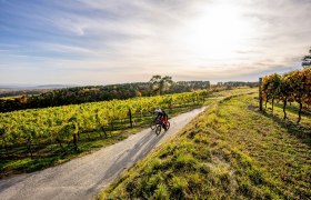 Zweigelt-Strecke, © POV Zweigelt-Strecke, © POV