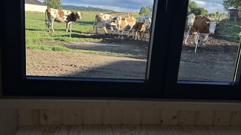 View from the Tiny House, © deutsch View from the Tiny House, © deutsch