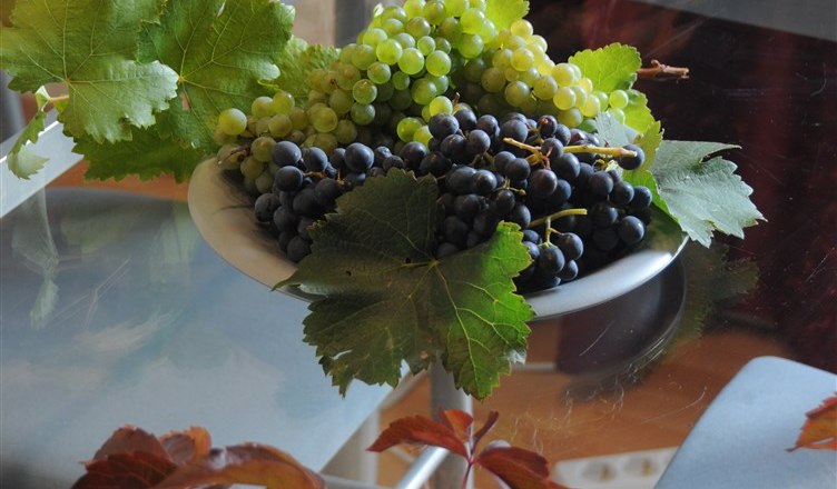 8-grapes-from-the-private-garden, © Gabriele Prandstetter 8-grapes-from-the-private-garden, © Gabriele Prandstetter