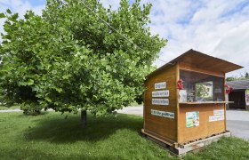 Bauernbox, © Marktgemeinde Bad Traunstein Bauernbox, © Marktgemeinde Bad Traunstein