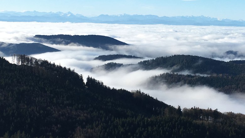 Aussichtsberg Burgsteinmauer, © Leo Baumberger Blick von einem Berg auf bewaldete Hügel und Wolkenmeer, im Hintergrund Alpen.