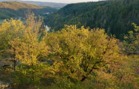 Ruine Schimmelsprung, © Matthias Schickhofer Ruine Schimmelsprung, © Matthias Schickhofer