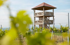 Aussichtswarte Engabrunn, © Franz Zwickl, artgraphic photo Aussichtswarte Engabrunn, © Franz Zwickl, artgraphic photo