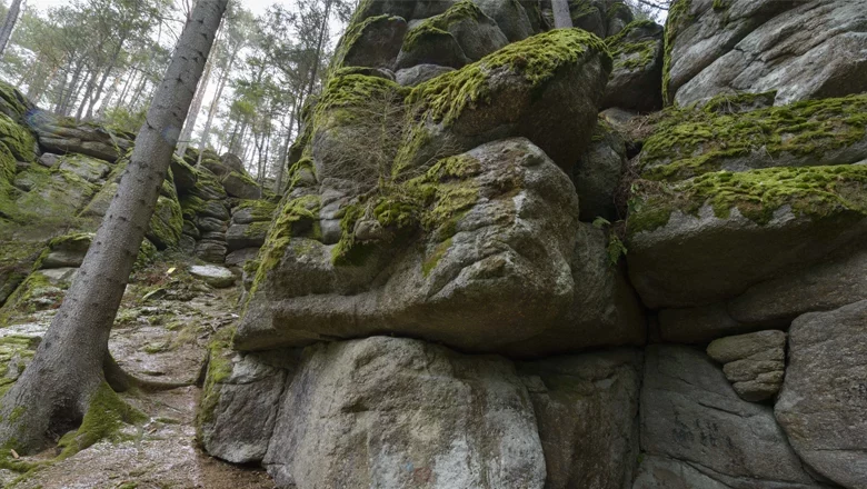 Felsformationen bei Groß Schönau, © Matthias Schickhofer Moosbedeckte Felsformationen im Wald bei Groß Schönau.