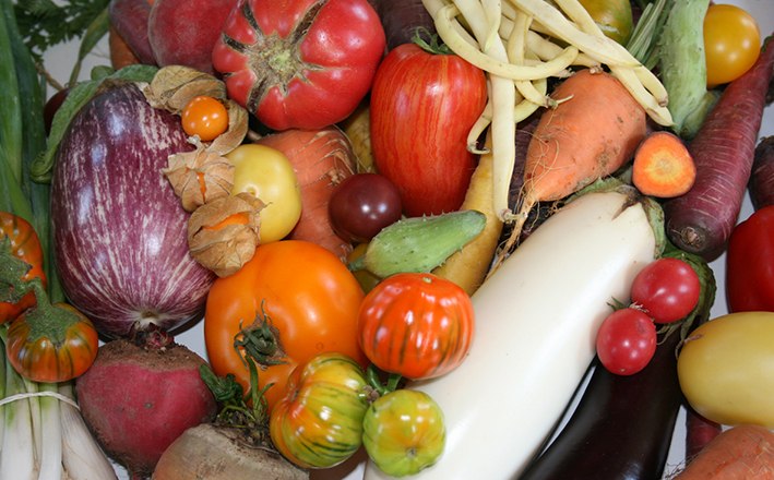 Die Sortenvielfalt ist groß, © ARCHE NOAH Verschiedene bunte Gemüsesorten auf einem Haufen.