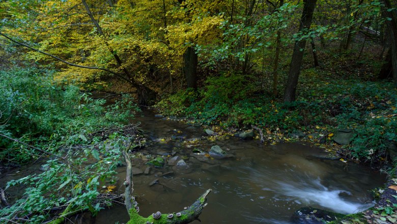 Pulkautal, © Waldviertel Tourismus, Matthias Schickhofer