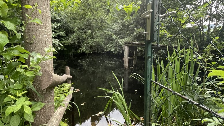 Private natural swimming pond above the vacation apartment, &copy; 1000Krauthof