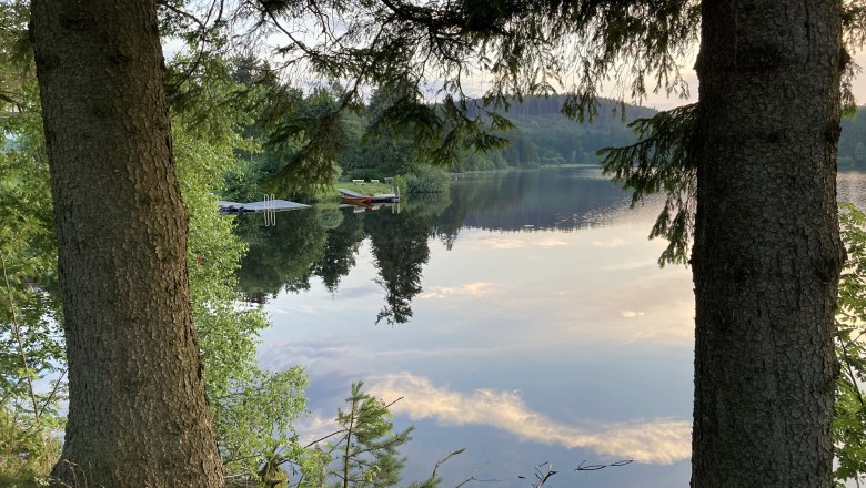 Edlesbergerteich - beim Damm, &copy; Dieter Juster