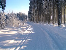 Langlaufen in Ottenschlag &copy; Gemeinde Ottenschlag, &copy; Waldviertel Tourismus