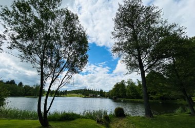 Wald der Weisheit (Hausschachenteich), © Dr. Markus Peham
