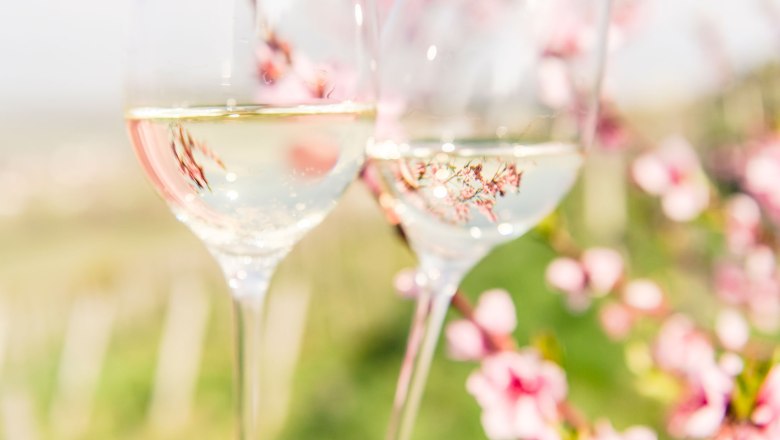 Kamptaler Weinfrühling, © Niederösterreich Werbung, Robert Herbst