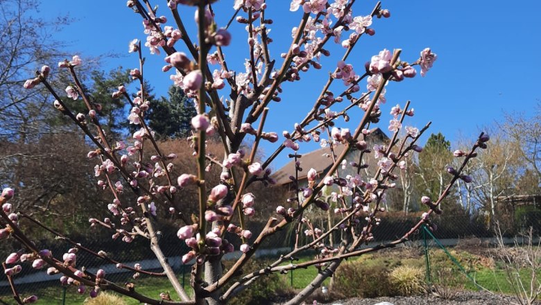 Fireplace, © Familie Beneder
