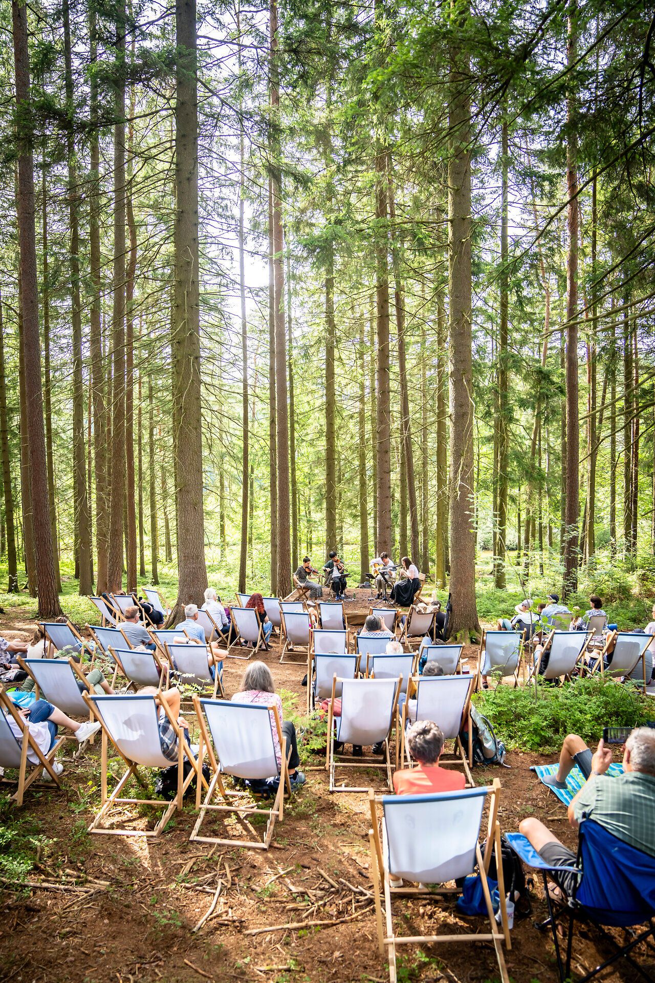 Umgeben von majestätischen Bäumen und dem sanften Licht der Sonne, genießen die Besucher des Schrammel.Klang.Festivals eine unvergessliche musikalische Darbietung inmitten der Natur. Die entspannte Atmosphäre und die bequemen Liegestühle laden dazu ein, die Klänge der Musik und die Schönheit des Waldes in vollen Zügen zu erleben.