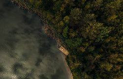 Luftaufnahme eines kleinen Holzstegs am Ufer eines Sees, umgeben von dichtem Wald, im Waldviertel.