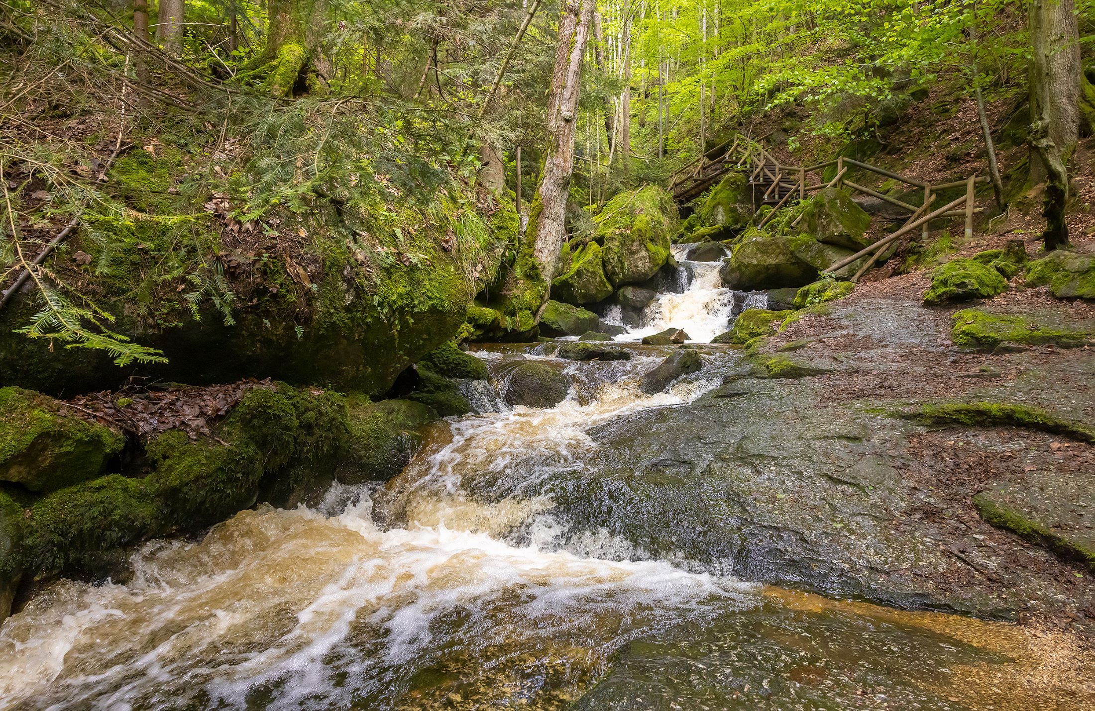 Klares Wasser der Ysper fließt über Steine im schattigen Abschnitt der Ysperklamm
