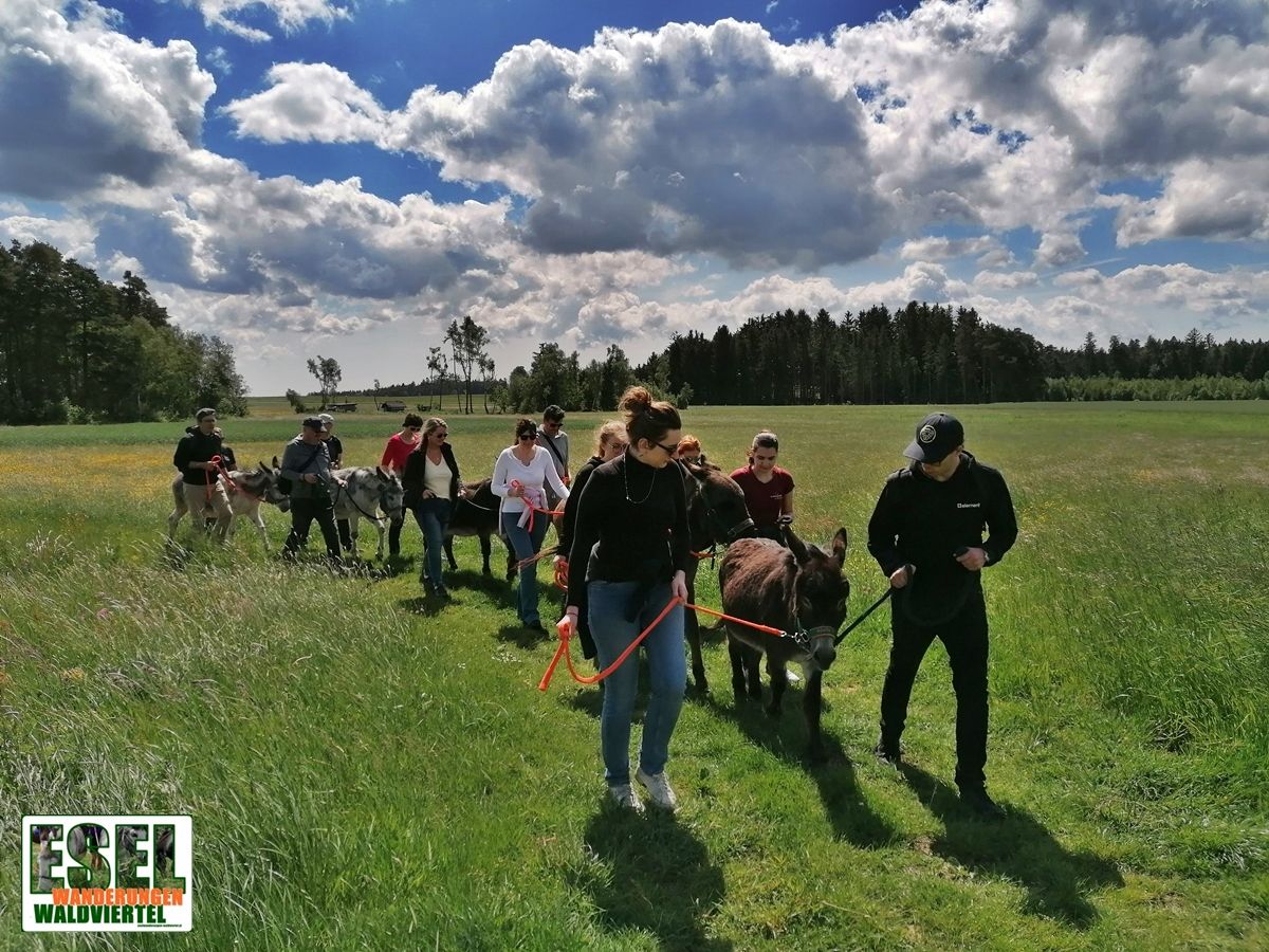 Eselwandern
