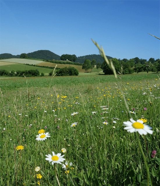Kneippweg