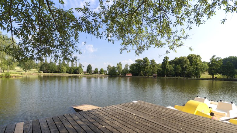 &copy; Sabine Prei&szlig;l